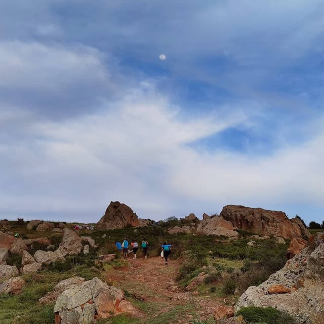 Image 13