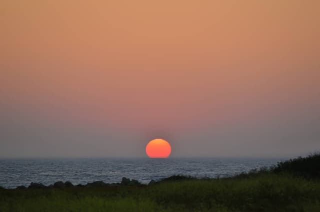 Image 28