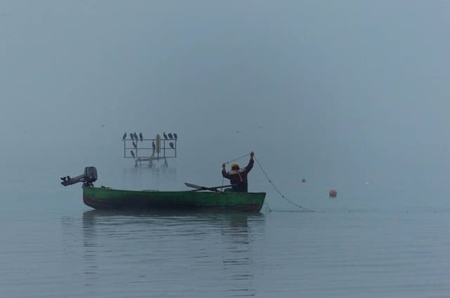 Image 32