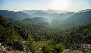 Strata: Cyprus Activities Guide